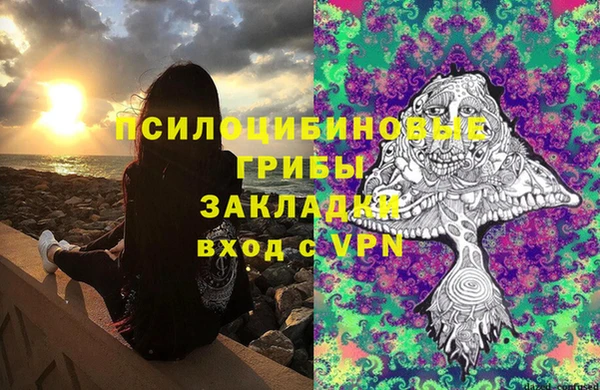 стафф Протвино