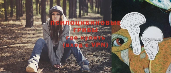 2c-b Чегем