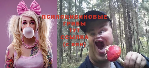 мет Чекалин