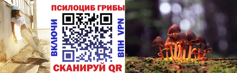 сколько стоит  Аксай  сайты даркнета состав  Псилоцибиновые грибы Cubensis 