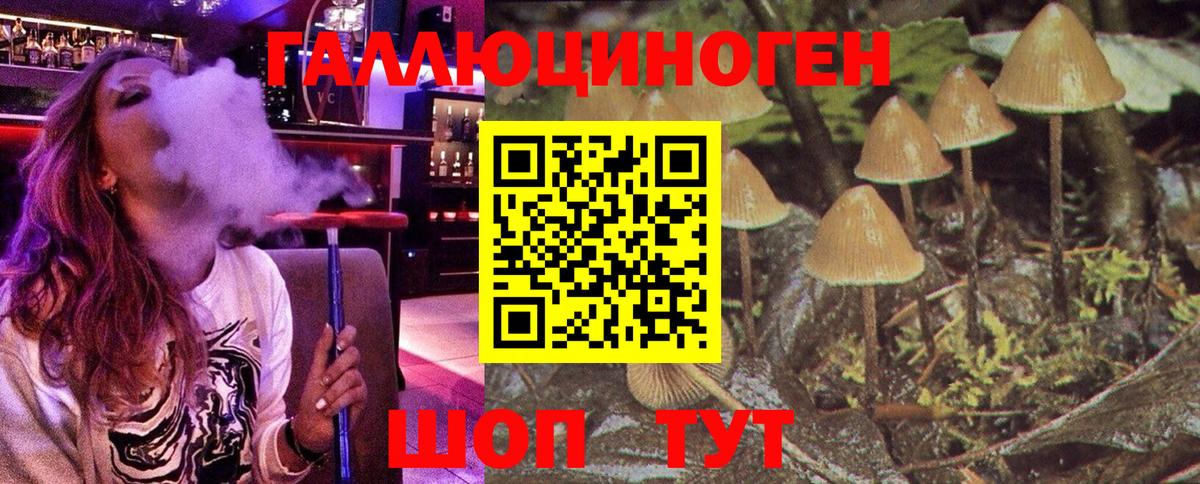 Галлюциногенные грибы Psilocybe  Аксай  Галлюциногенные грибы MAGIC MUSHROOMS 