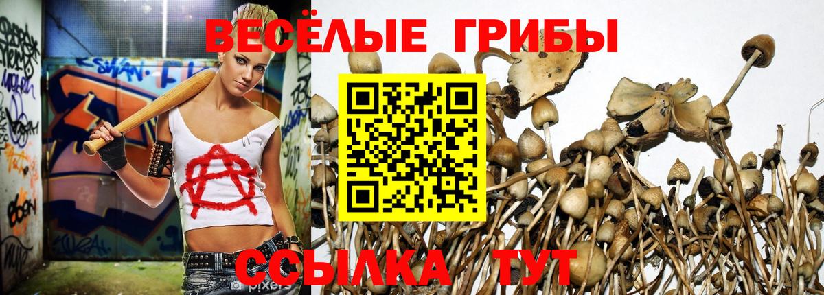 Галлюциногенные грибы ЛСД Аксай