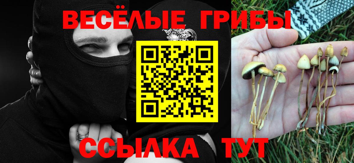 Галлюциногенные грибы MAGIC MUSHROOMS  Вход с VPN  магазин  наркотиков  Псилоцибиновые грибы Cubensis  Аксай 