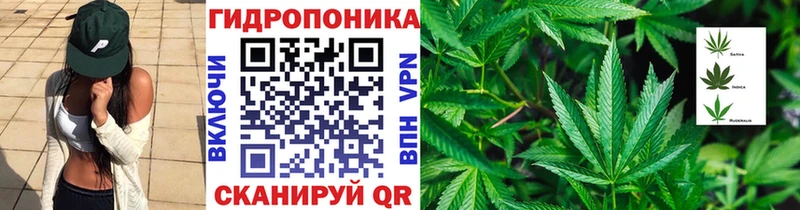 Каннабис план Аксай